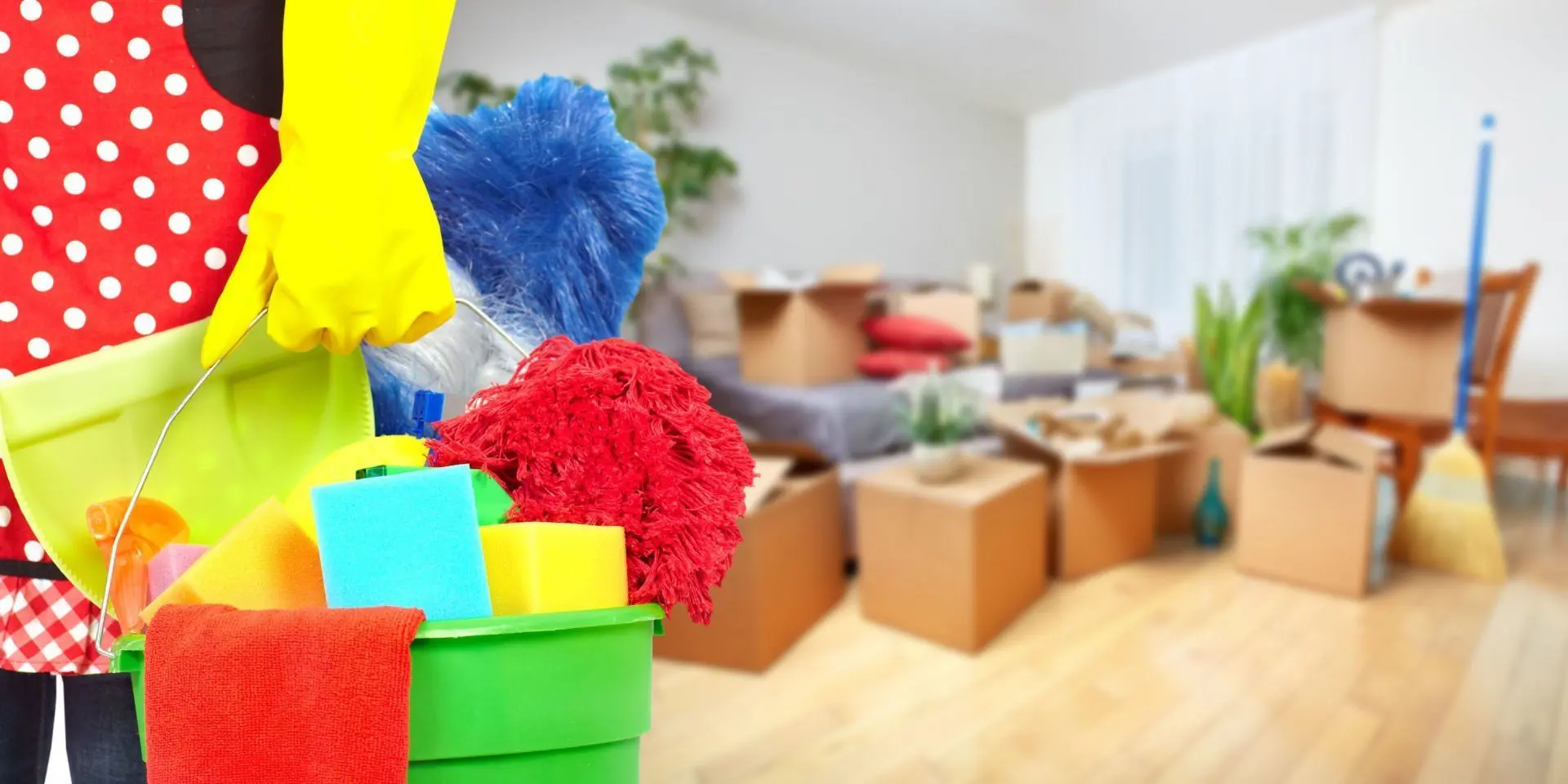 Move in / Move out Cleaning