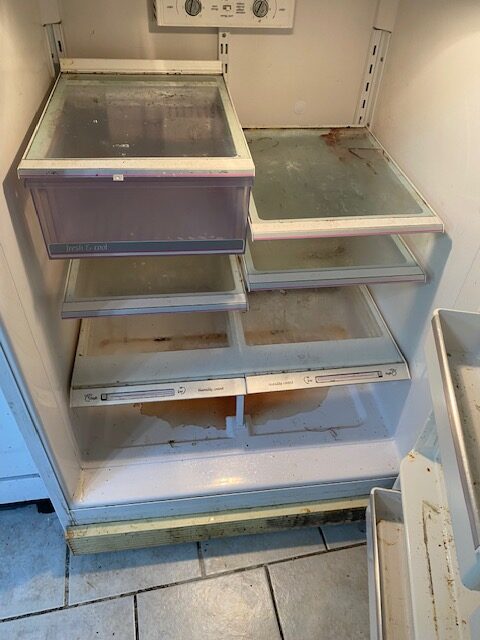Fridge Cleaning Before