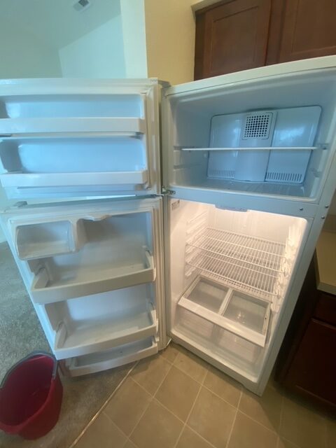 Fridge Cleaning After