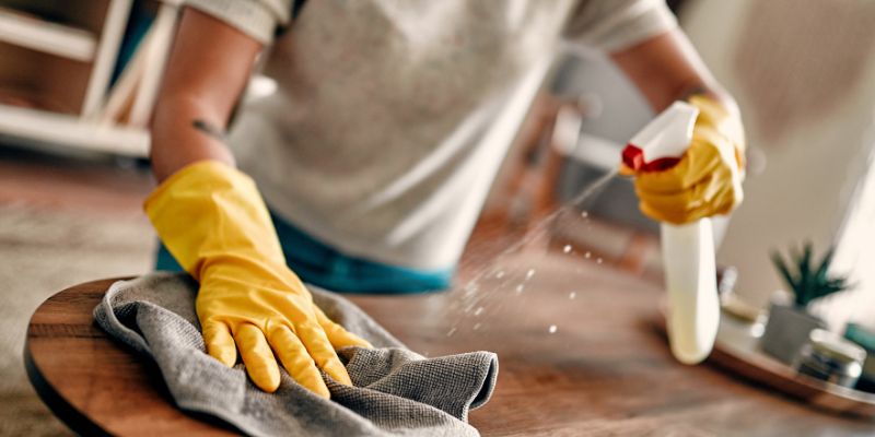 Professional house cleaning Shelby Township