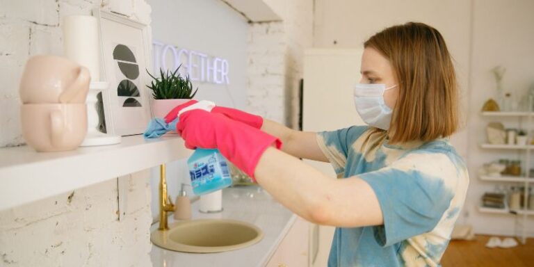 Bi-weekly house cleaning Shelby Township